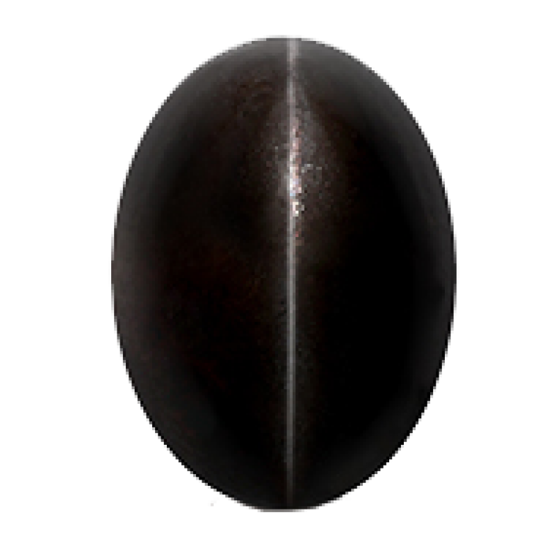 Black cats store eye stone